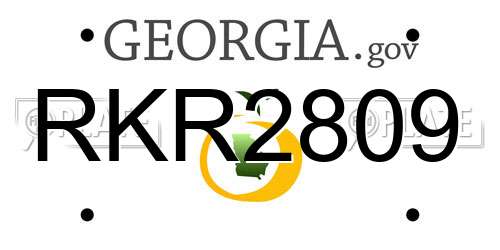 RKR2809 Georgia License Plate