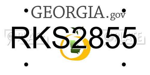 RKS2855 Georgia License Plate