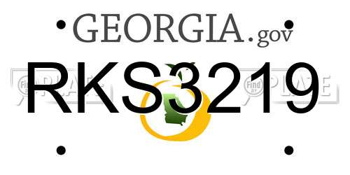 RKS3219 Georgia License Plate