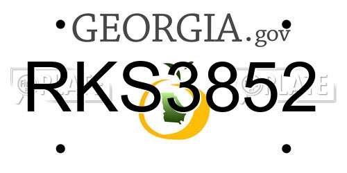 RKS3852 Georgia License Plate
