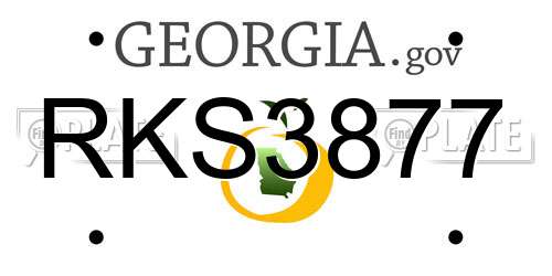 RKS3877 Georgia License Plate