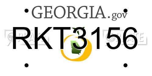 RKT3156 Georgia License Plate