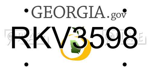 RKV3598 Georgia License Plate
