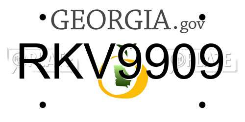 RKV9909 Georgia License Plate