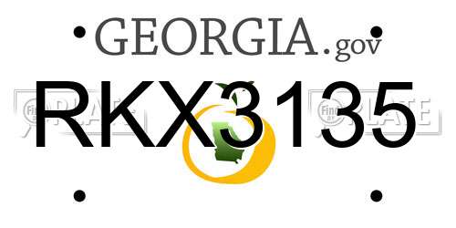 RKX3135 Georgia License Plate