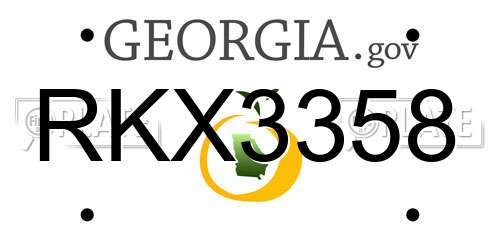 RKX3358 Georgia License Plate