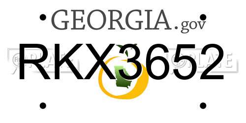 RKX3652 Georgia License Plate
