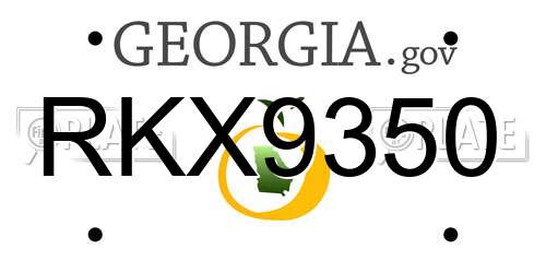 RKX9350 Georgia License Plate