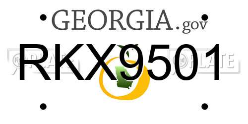 RKX9501 Georgia License Plate