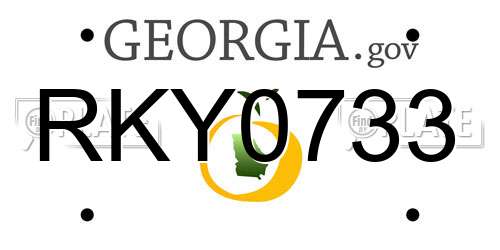 RKY0733 Georgia License Plate