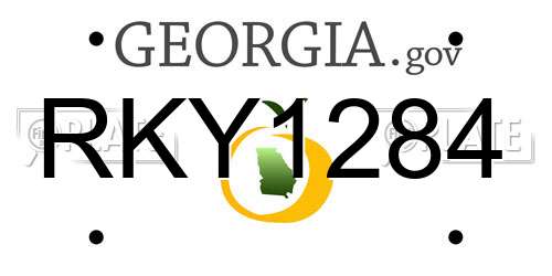 RKY1284 Georgia License Plate