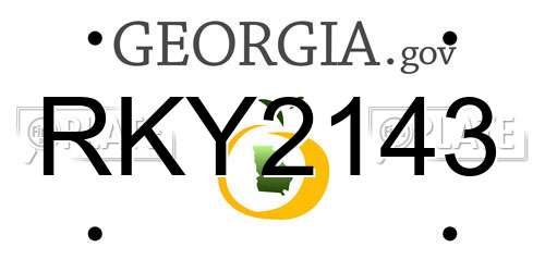 RKY2143 Georgia License Plate