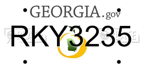 RKY3235 Georgia License Plate