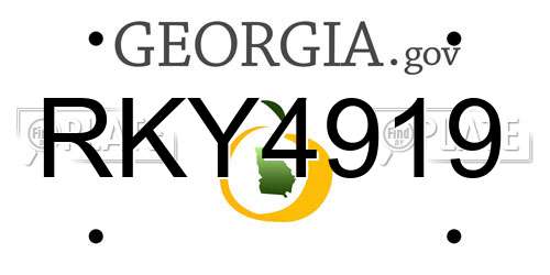 RKY4919 Georgia License Plate
