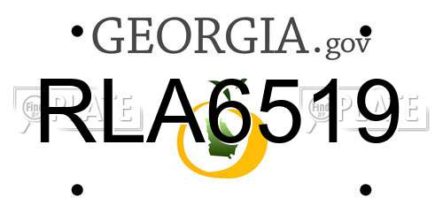 RLA6519 Georgia License Plate