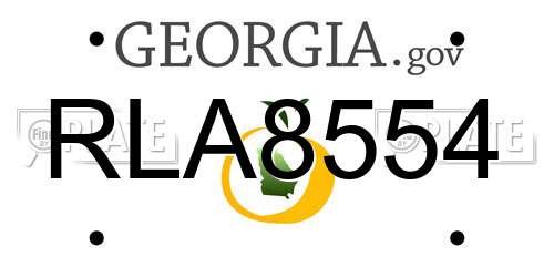 RLA8554 Georgia License Plate