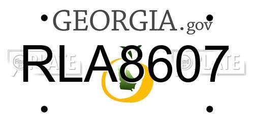 RLA8607 Georgia License Plate