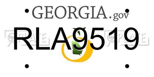 RLA9519 Georgia License Plate