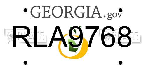 RLA9768 Georgia License Plate