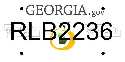 RLB2236 Georgia License Plate