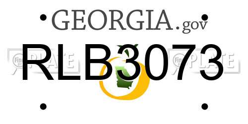 RLB3073 Georgia License Plate