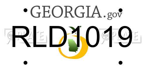 RLD1019 Georgia License Plate