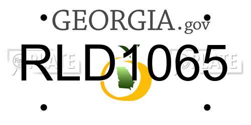 RLD1065 Georgia License Plate