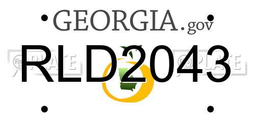 RLD2043 Georgia License Plate