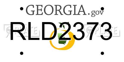 RLD2373 Georgia License Plate