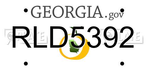 RLD5392 Georgia License Plate