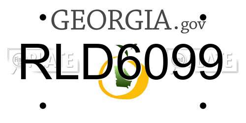 RLD6099 Georgia License Plate
