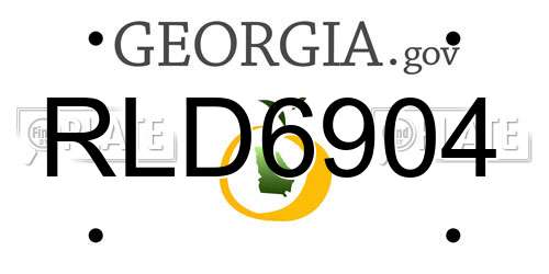RLD6904 Georgia License Plate