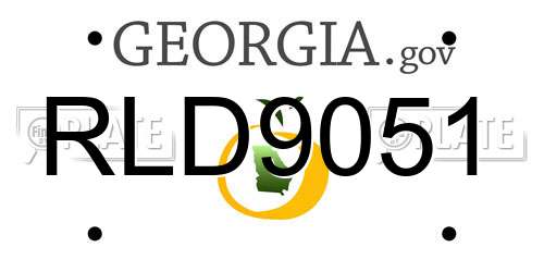 RLD9051 Georgia License Plate