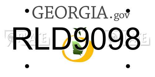 RLD9098 Georgia License Plate