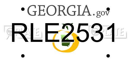 RLE2531 Georgia License Plate