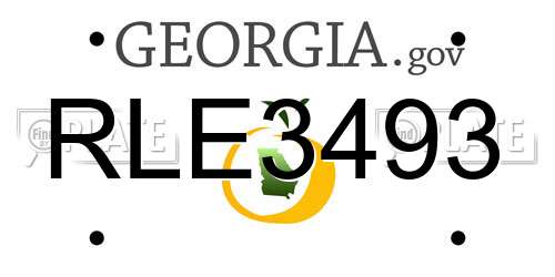 RLE3493 Georgia License Plate
