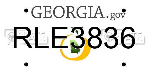 RLE3836 Georgia License Plate