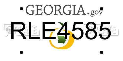 RLE4585 Georgia License Plate