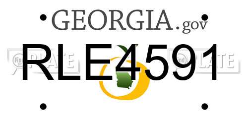 RLE4591 Georgia License Plate