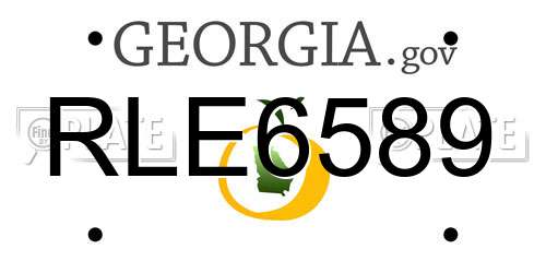 RLE6589 Georgia License Plate
