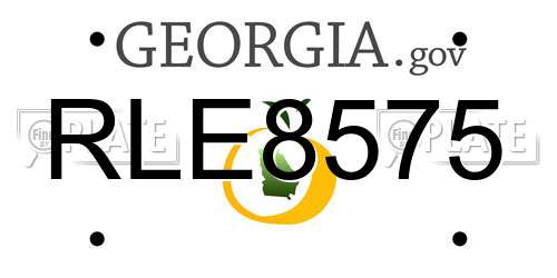 RLE8575 Georgia License Plate