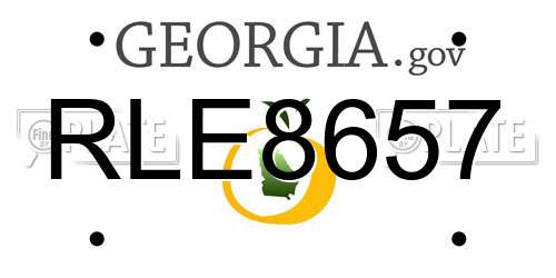 RLE8657 Georgia License Plate