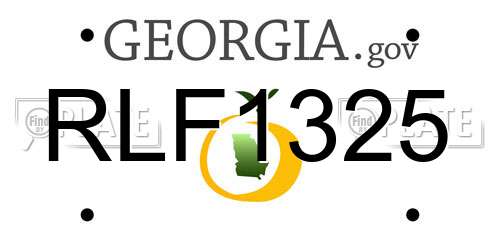 RLF1325 Georgia License Plate