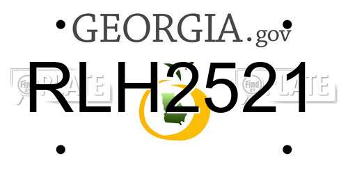 RLH2521 Georgia License Plate