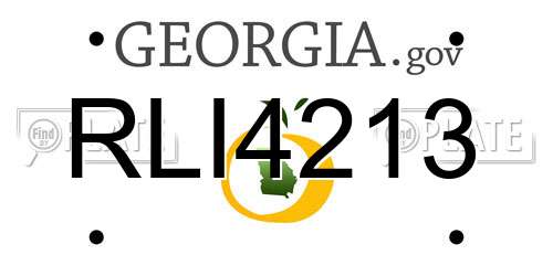 RLI4213 Georgia License Plate