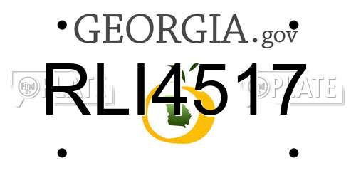RLI4517 Georgia License Plate