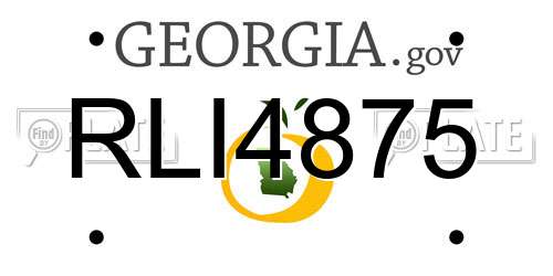 RLI4875 Georgia License Plate