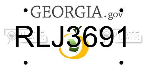 RLJ3691 Georgia License Plate