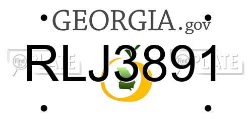RLJ3891 Georgia License Plate