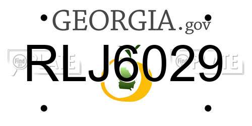RLJ6029 Georgia License Plate